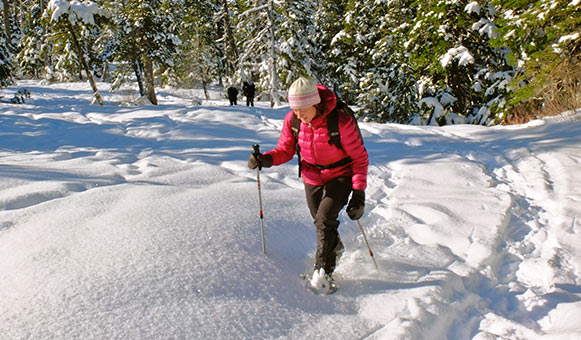 Cross country and snowshoeing insurance, onlinetravelcover.com