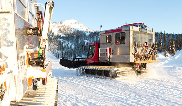 Snowcat driving insurance, onlinetravelcover.com