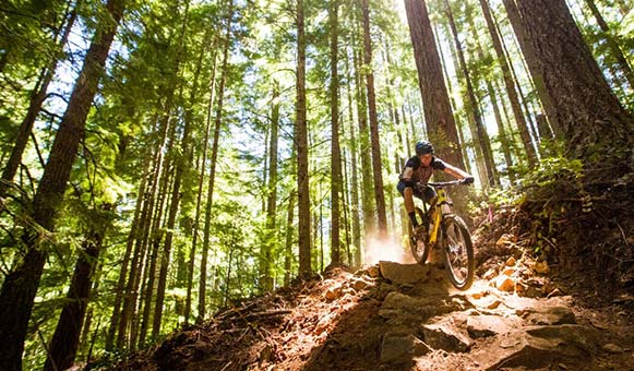 travel insurance for downhill mountain biking