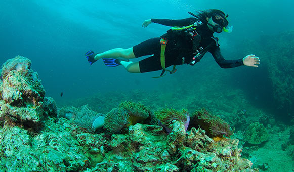 Solo scuba diving insurance, onlinetravelcover.com