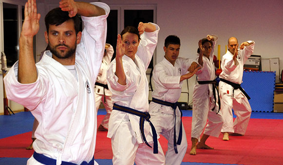 Martial arts insurance, onlinetravelcover.com